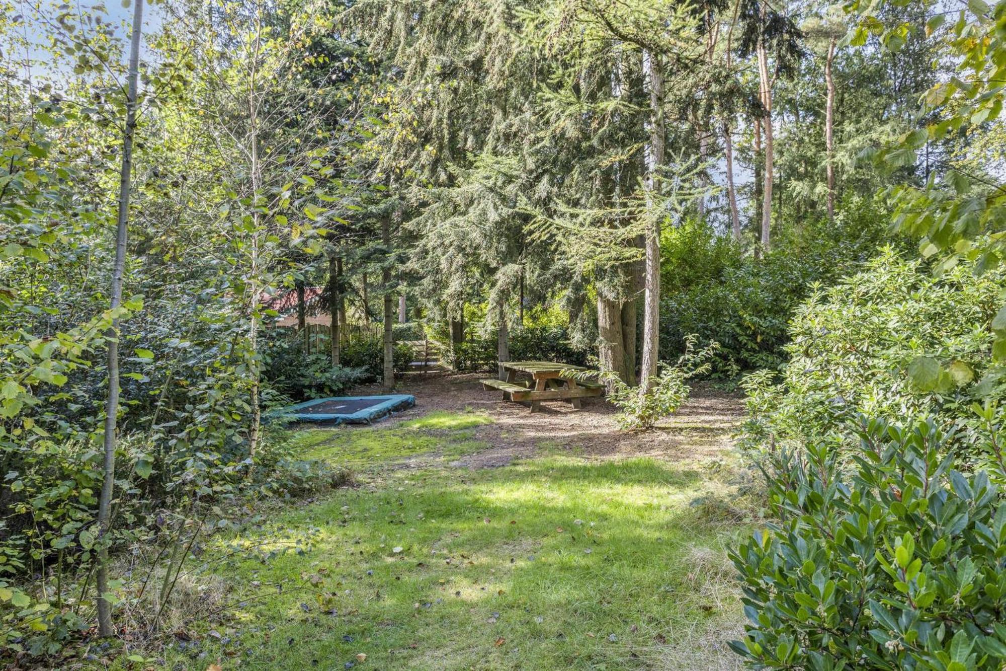 Relaxen In Het Bos Met Privesauna Holten Ngoại thất bức ảnh