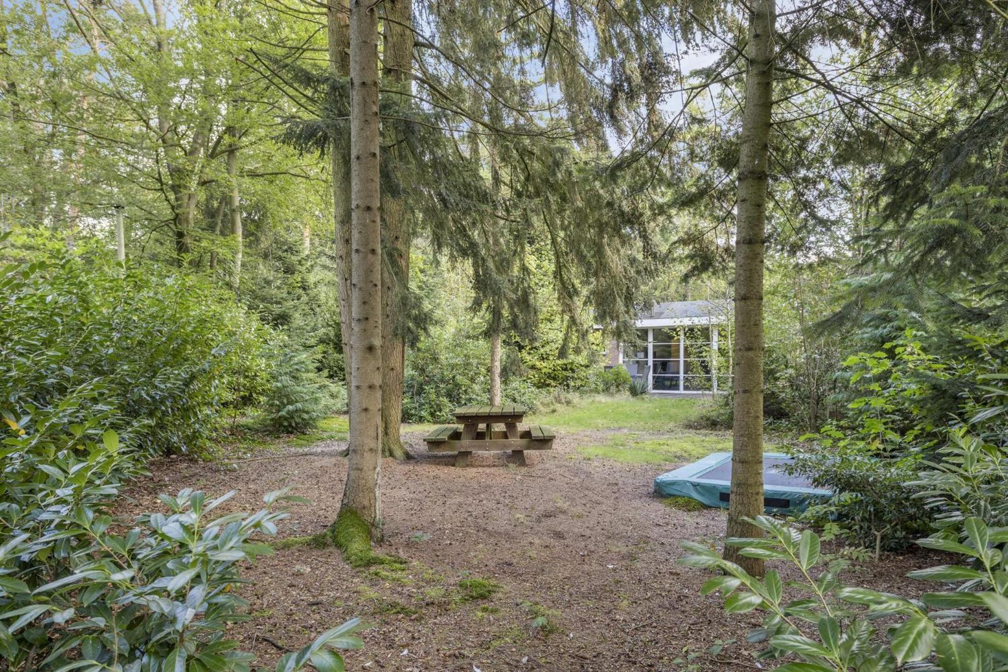 Relaxen In Het Bos Met Privesauna Holten Ngoại thất bức ảnh