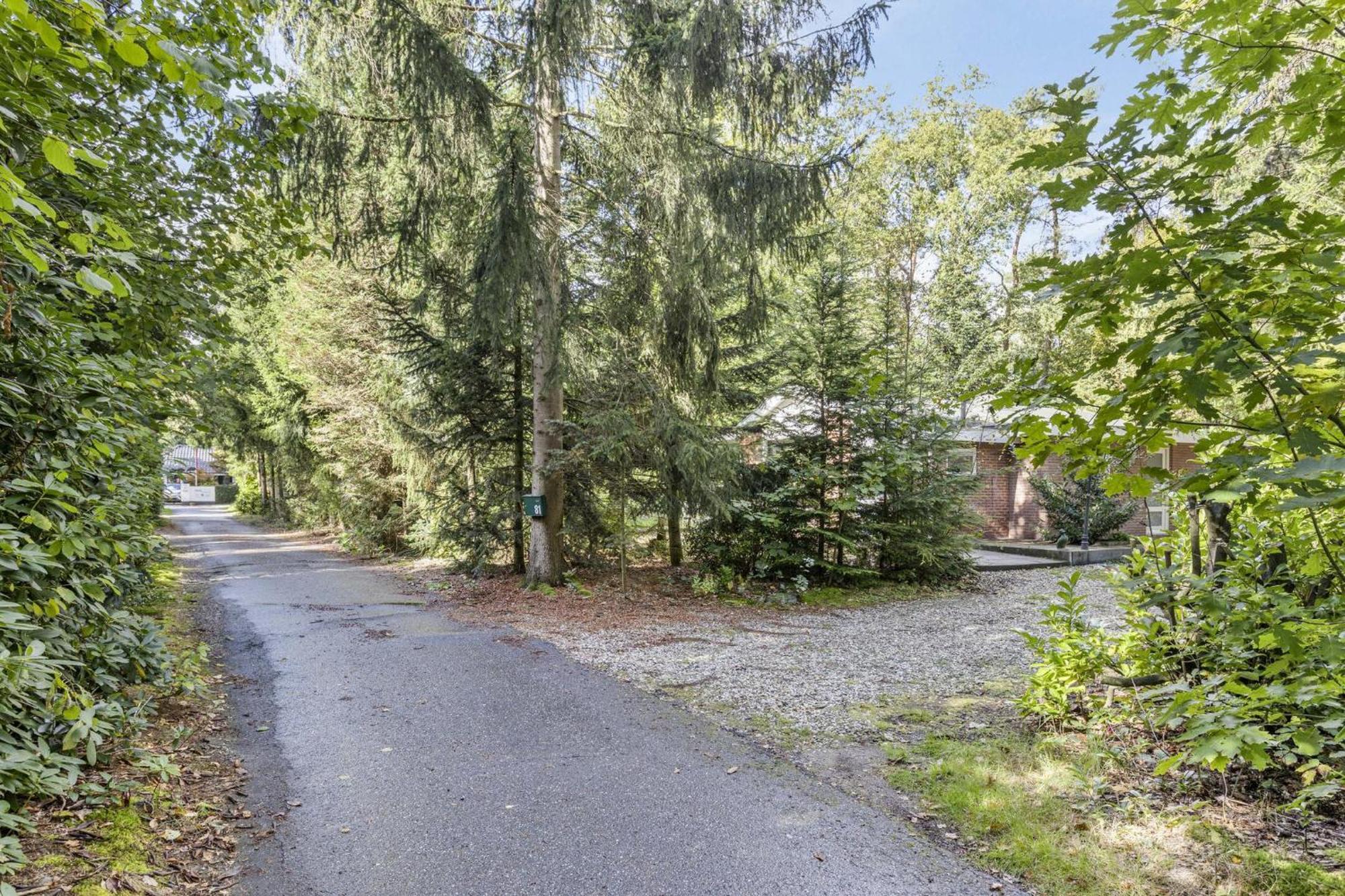 Relaxen In Het Bos Met Privesauna Holten Ngoại thất bức ảnh